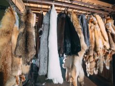 CFDA to implement fur ban at NYFW from September 2026