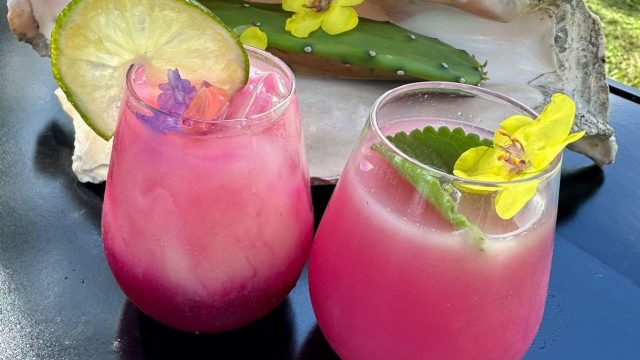 Doreen Williams-James’ prickly pear juice recipe