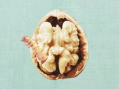 Mixed nuts: RFK Jr.’s new nutrition guidelines receive uneven reviews