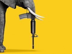 Did Alex Pretti’s killing open a GOP rift on guns?