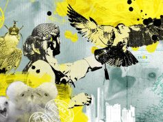 Why the Middle East is obsessed with falcons