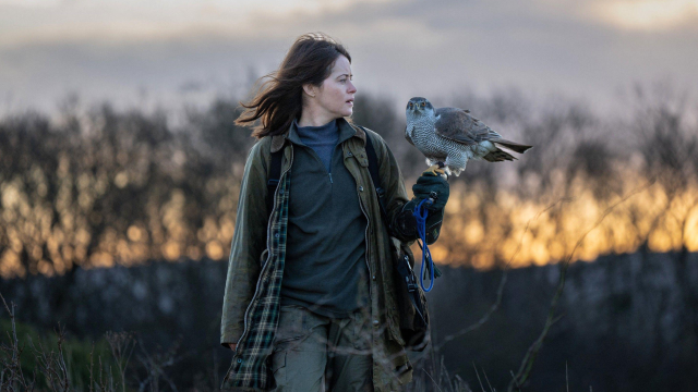 H is for Hawk: Claire Foy is ‘terrific’ in tender grief drama