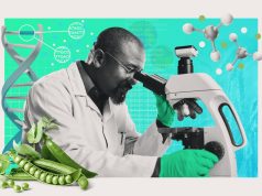 Why scientists want to create self-fertilizing crops