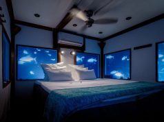 Dive right into these 8 underwater adventures