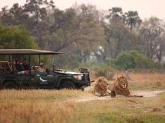 11 hotels opening in 2026 that will move you to reconnect with nature