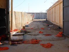 Syria’s Islamic State problem