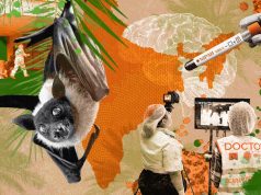 A Nipah virus outbreak in India has brought back Covid-era surveillance