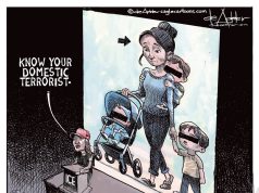 5 editorial cartoons about ICE killing Renee Nicole Good