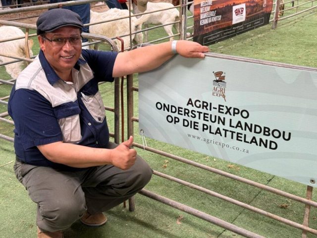 Steenhuisen faces palace revolt