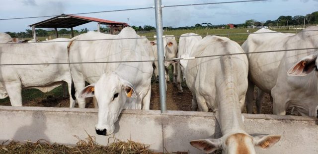 Minister Ferguson highlights growth, resilience, and a sustainable vision at BLPA’s 46th AGM