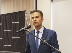 Analysts weigh Sona’s delivery challenge