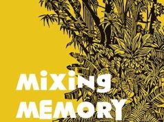 New Book / Audiobook: “Mixing Memory and Desire”