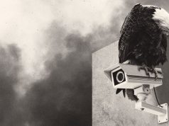 ICE’s facial scanning is the tip of the surveillance iceberg