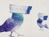 Russia’s ‘cyborg’ spy pigeons