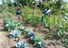 Judging committee for Male, Female and Junior Farmer of Year awards visit farms