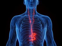 How the vagus nerve affects your health