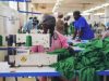 Coats Digital to drive Northshore Apparel’s smart factory in Ghana