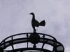 Tottenham v Crystal Palace: Premier League – live