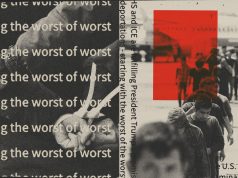 Are Republicans abandoning mass deportations?