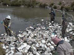 Investing in urban nature pays off