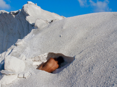 Exhibition— “Land. Sea. Sugar. Salt.: Terrestrial and Aquatic Contemplations of the Caribbean”