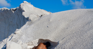 Exhibition— “Land. Sea. Sugar. Salt.: Terrestrial and Aquatic Contemplations of the Caribbean”