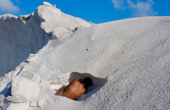 Exhibition— “Land. Sea. Sugar. Salt.: Terrestrial and Aquatic Contemplations of the Caribbean”