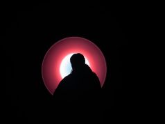 Thando Mama steals the spotlight at Spier Light Art Festival