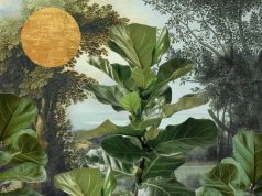 Pinta Panama Art Week 2026