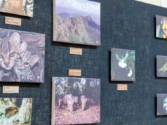 WILD501 exhibition and preservation project launched