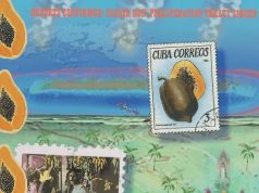 Exhibition, Tour, and Special Events: “Trópico agridulce”