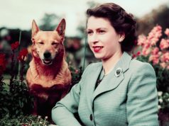 Sarah Ferguson and the dog-cloning craze