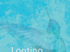 Book Launch: “Looting Hummingbirds”