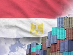 Egypt’s RMG exports up 11% YoY in January 2026: AECE