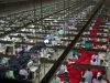 Bangladesh RMG sector pins hope on new government; can it deliver?