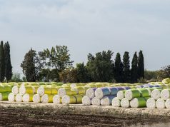 Australia’s cotton export value slips but volume rises in 2025