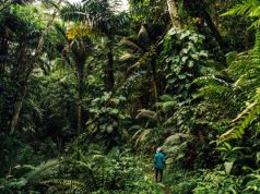 How Tobago’s festival season celebrates its future—and its past