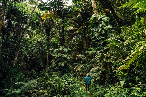 How Tobago’s festival season celebrates its future—and its past