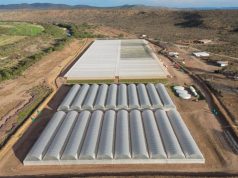 Spekboom restoration at centre of $120m World Bank climate bond