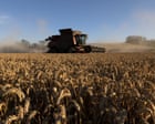 Wheat price heading for biggest jump in two months as Iran war threatens to drive food security higher – business live