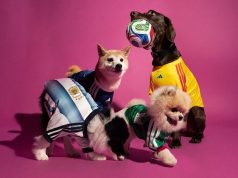 Adidas launches FIFA World Cup 2026 pet jersey collection