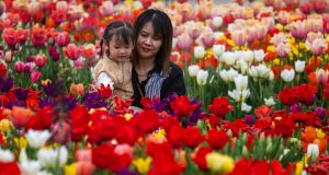 8 of the most beautiful public gardens in the world