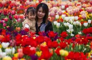 8 of the most beautiful public gardens in the world