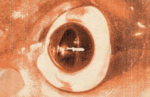 Not just folklore: A giant kraken-like octopus terrorized the seas in the age of dinosaurs