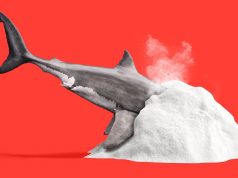 Sharks are testing positive for cocaine and other drugs