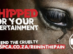 Holding the mirror up: How advertising can challenge, not just sell