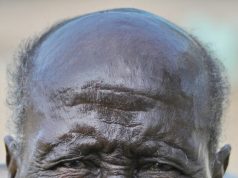 Fruit of freedom withers under broken land deal