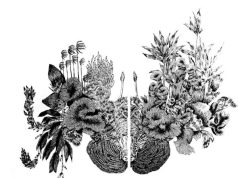 Exhibiting Art from the French- and Creole/Kreyol-Speaking Caribbean and Amazonia