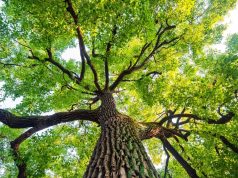 Didn’t get enough sun during winter? These Northeastern and Midwestern travel destinations are solar-powered during spring.