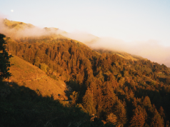 Central California, with John Steinbeck as your guide